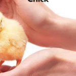 What Does It Mean When A Guy Calls You Chick
