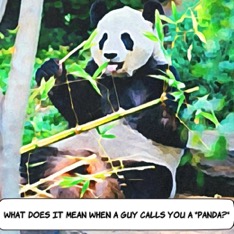 What Does It Mean When a Guy Calls You a Panda